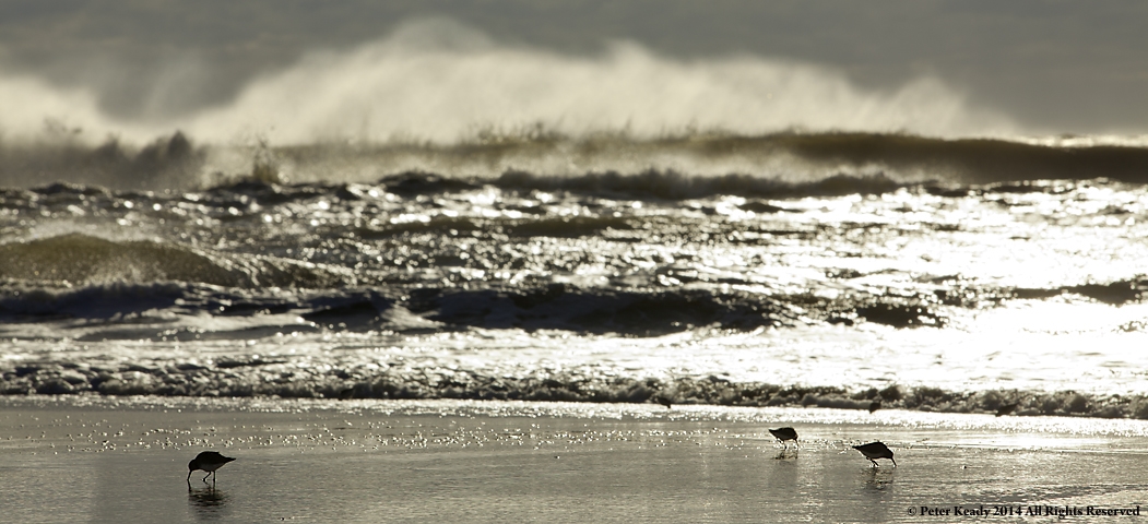 Waves and Wings