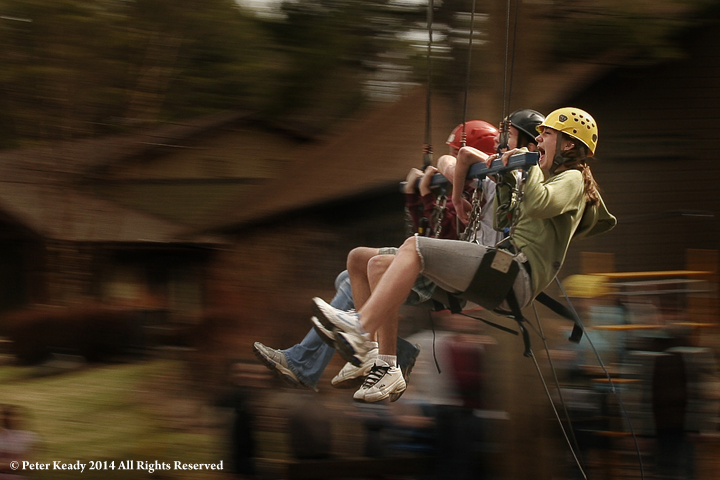 Swing Scream