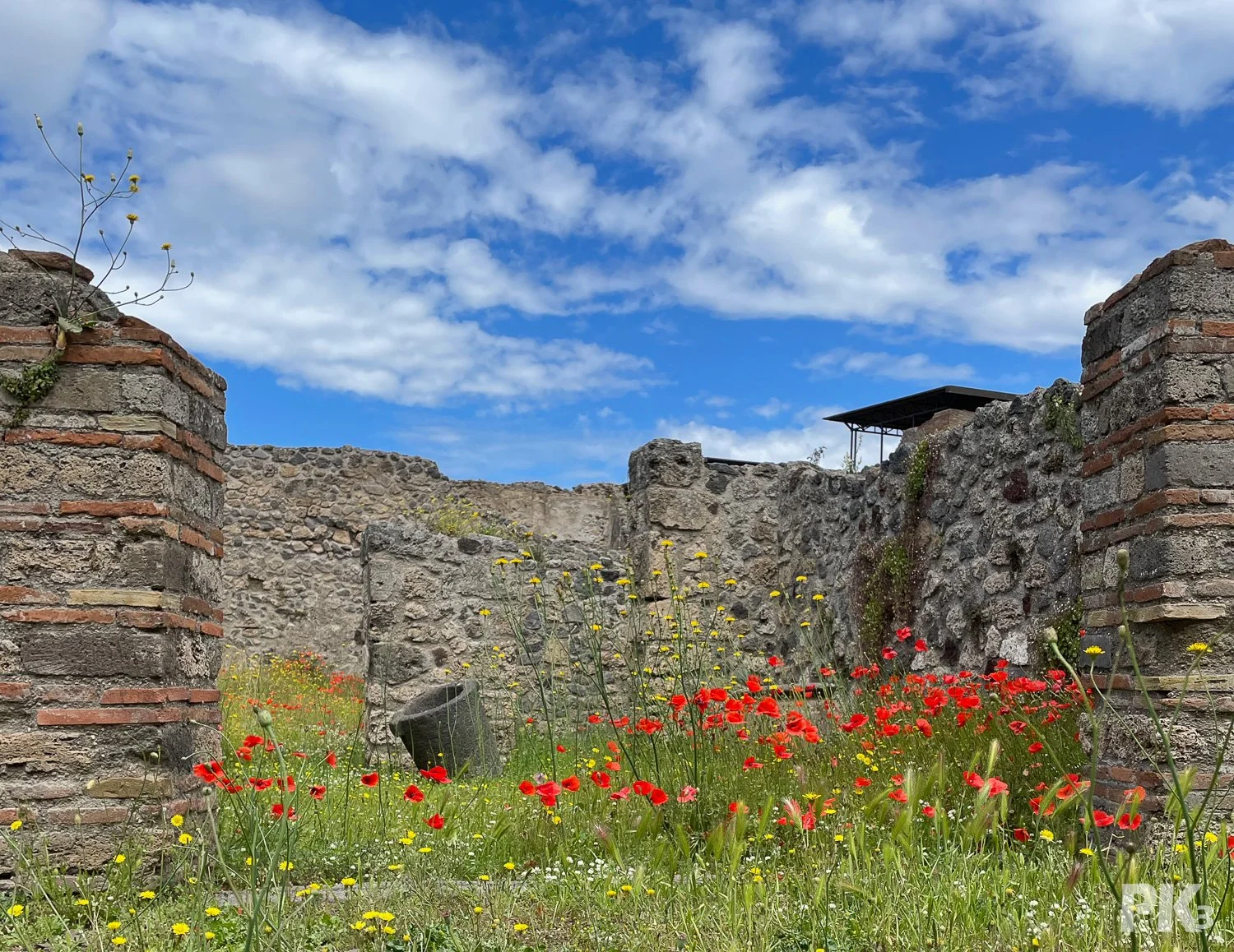 Pompeii-1179.jpg