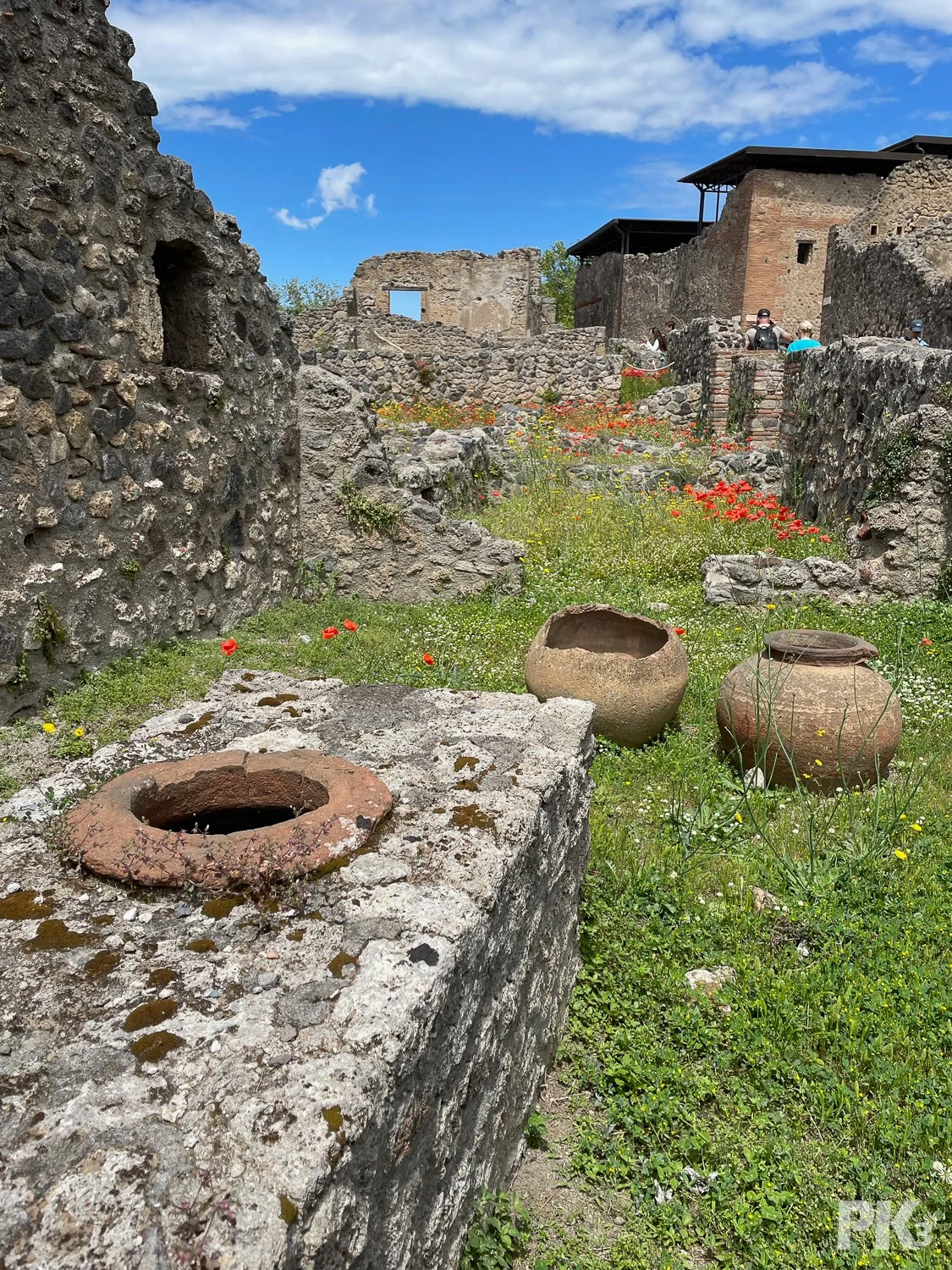 Pompeii-1182.jpg