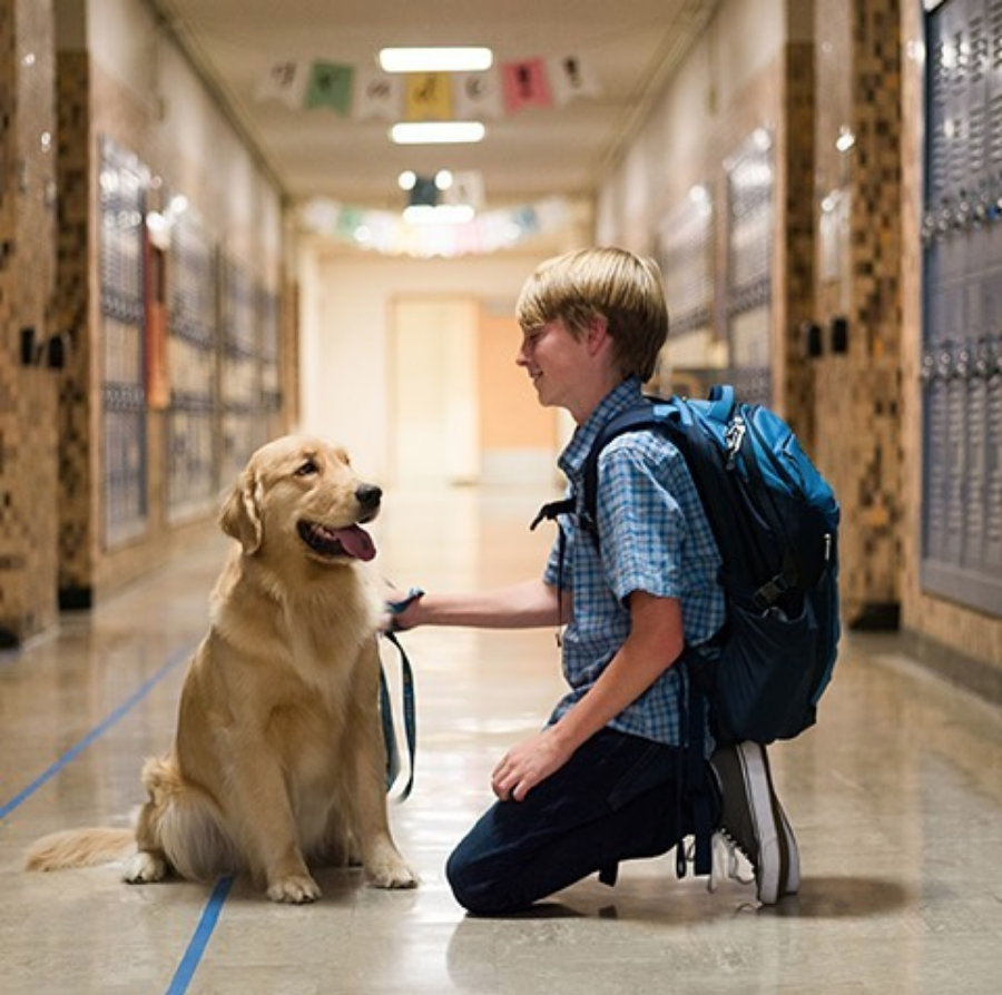 Screen Shot 2018-10-04 at 10.49.52 PM.png