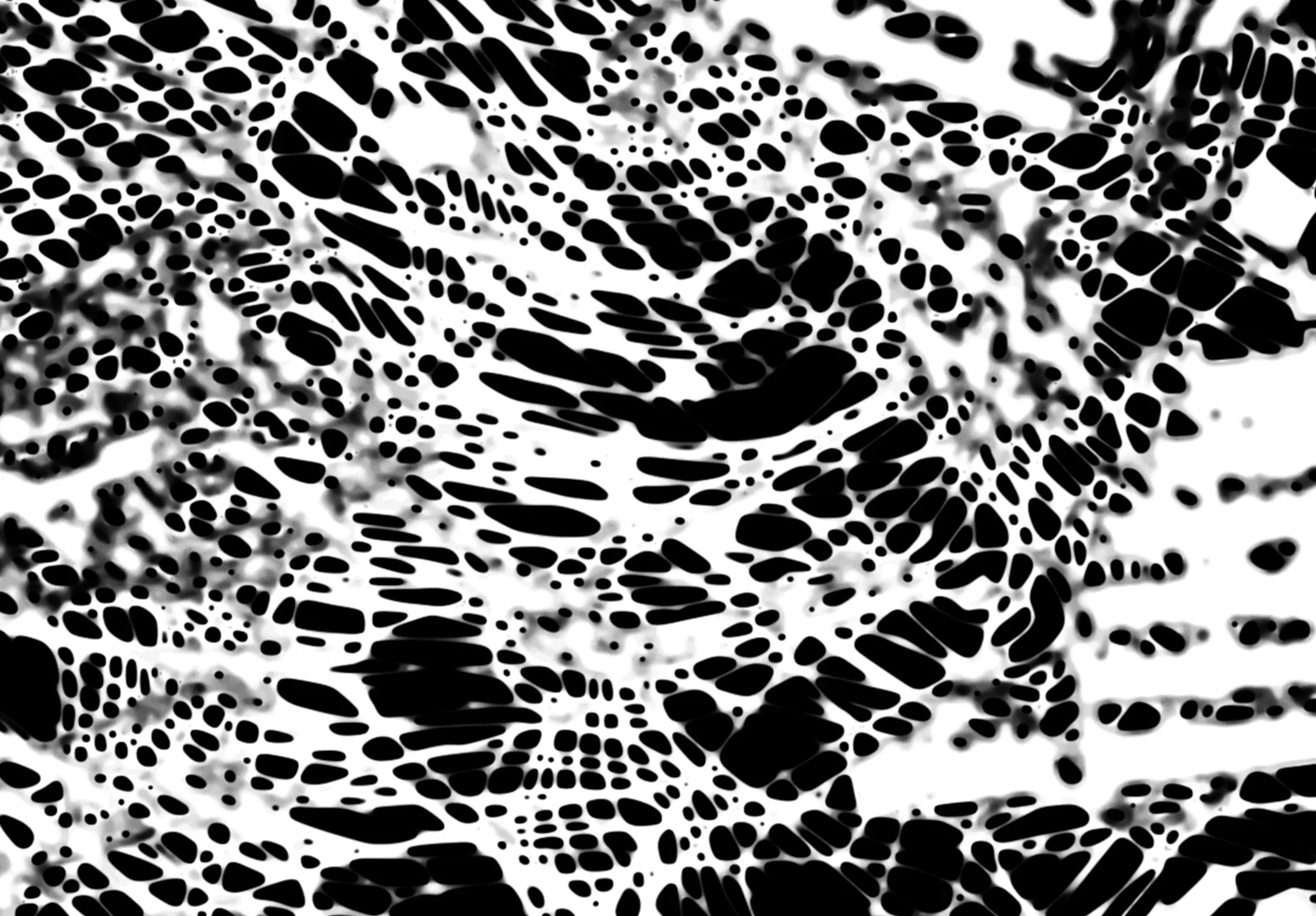 closeup4.jpg