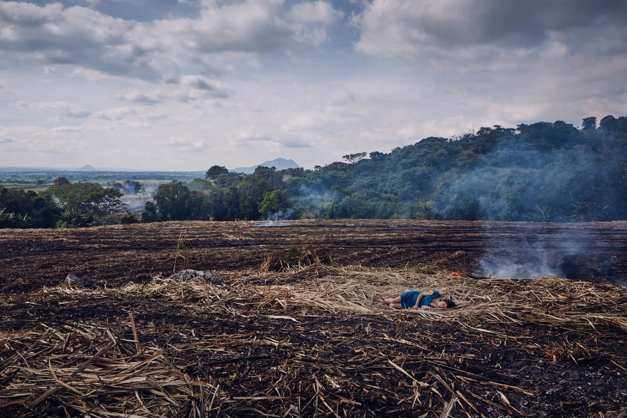 321A1331Adobe 1_highcon.jpeg