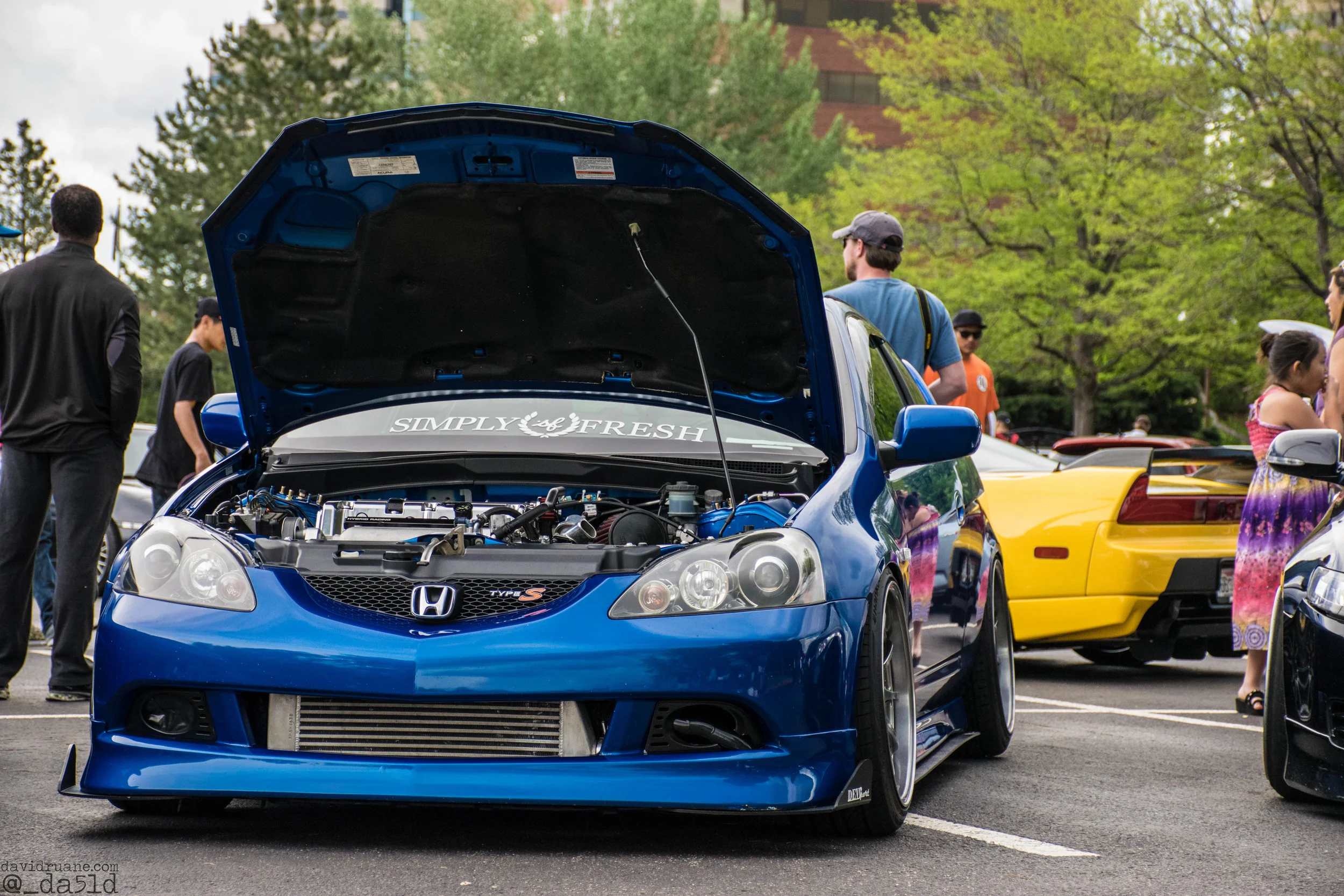 Beautiful RSX