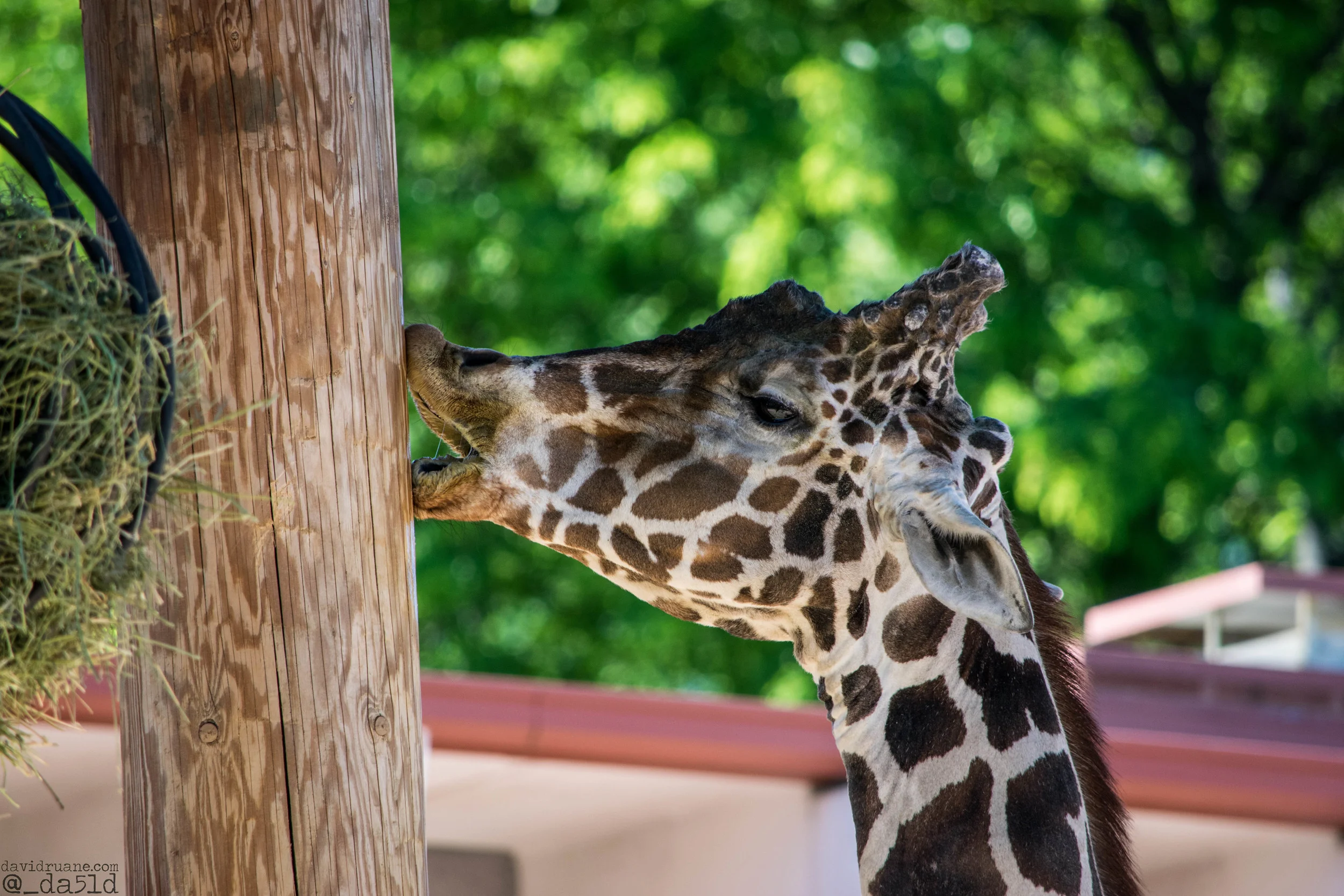 DSC_0943eW.jpg