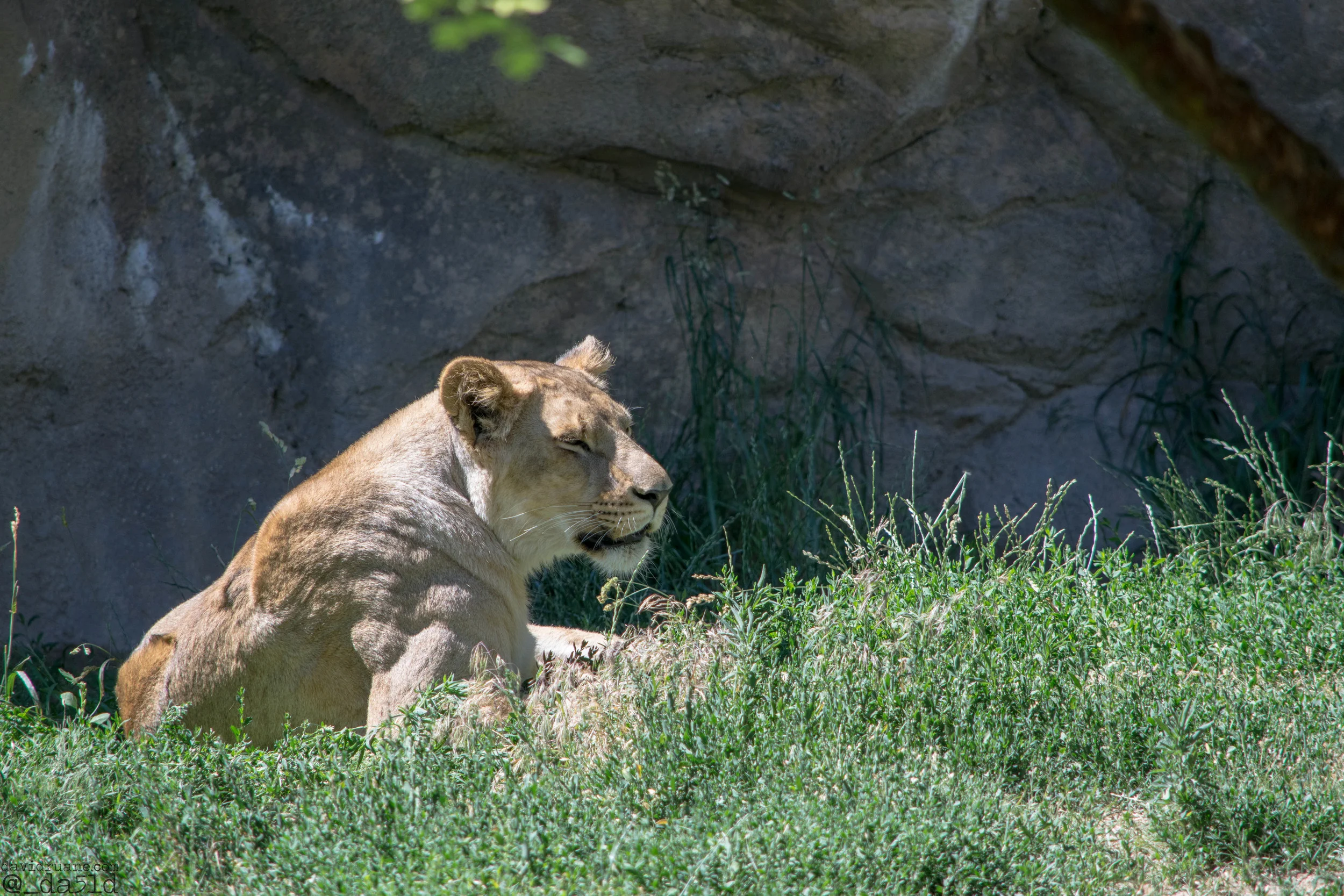 DSC_0923eW.jpg