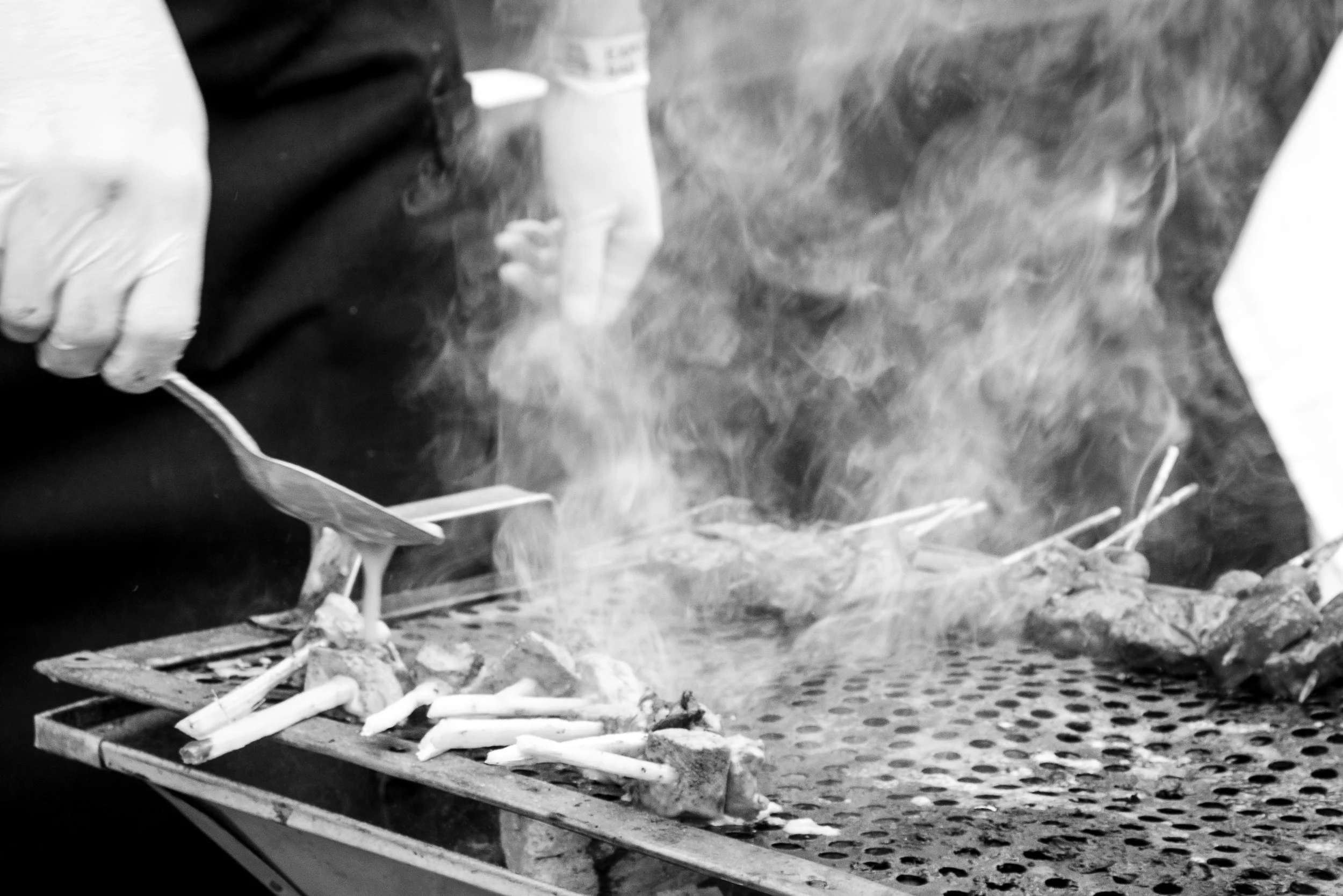 Sabores Polanco 2015