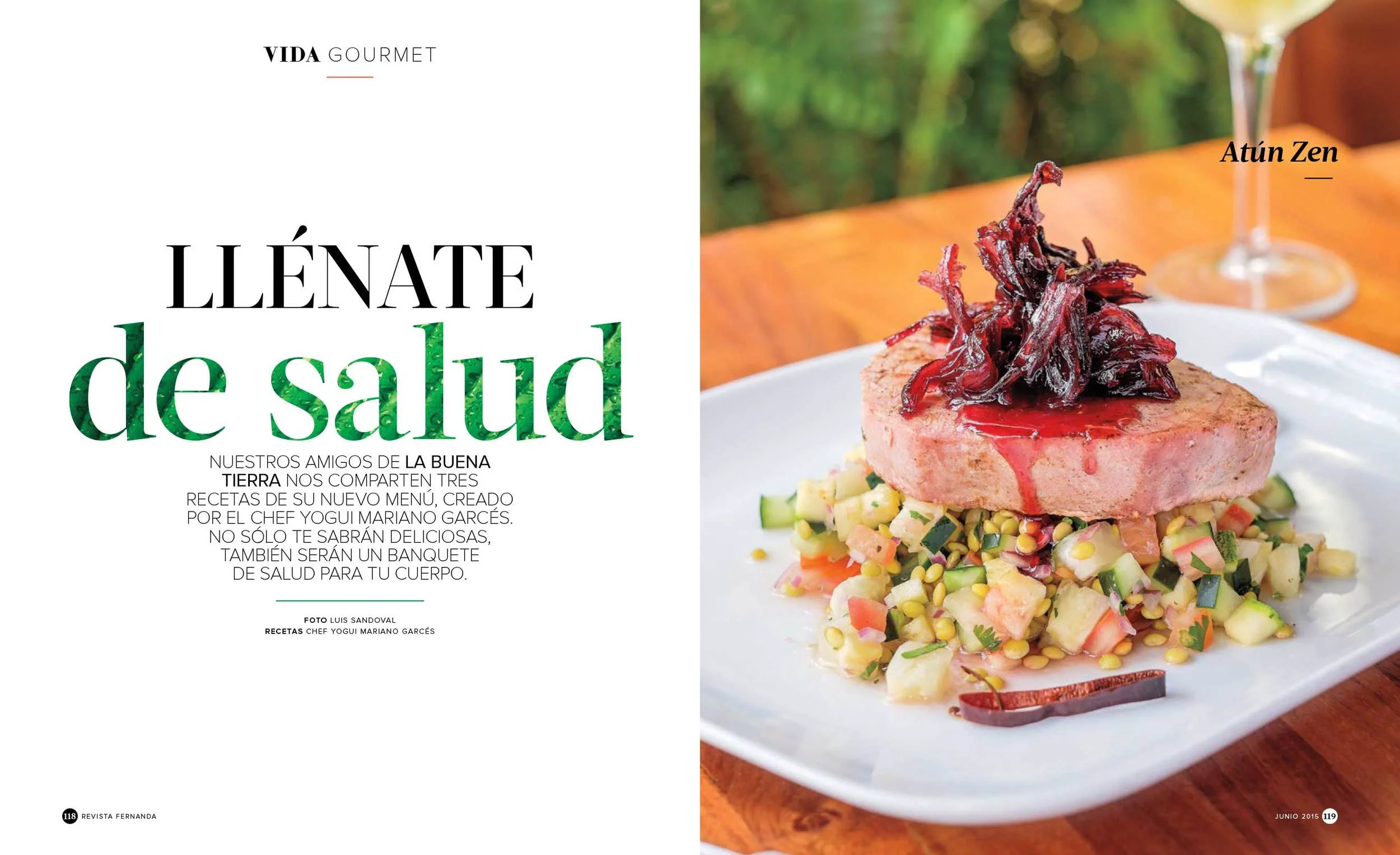 Revista Fernanda, Junio 2015