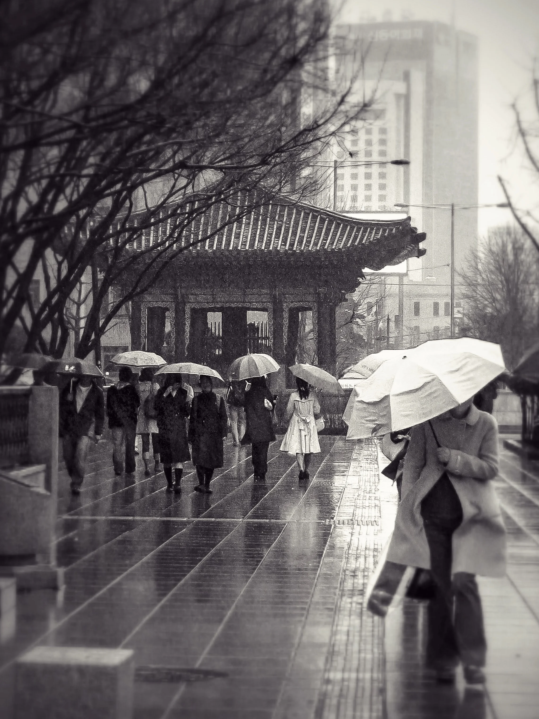 Rainy afternoon in Gwanghwamun, Seoul, South Korea, 2006