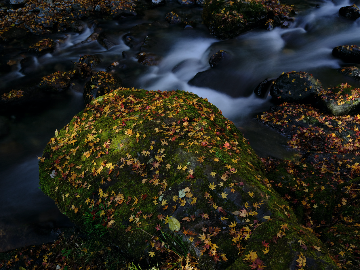 ©Shiro Hagihara -&nbsp;Fuji GFX 50S +&nbsp;GF32-64mmF4 R LM WR