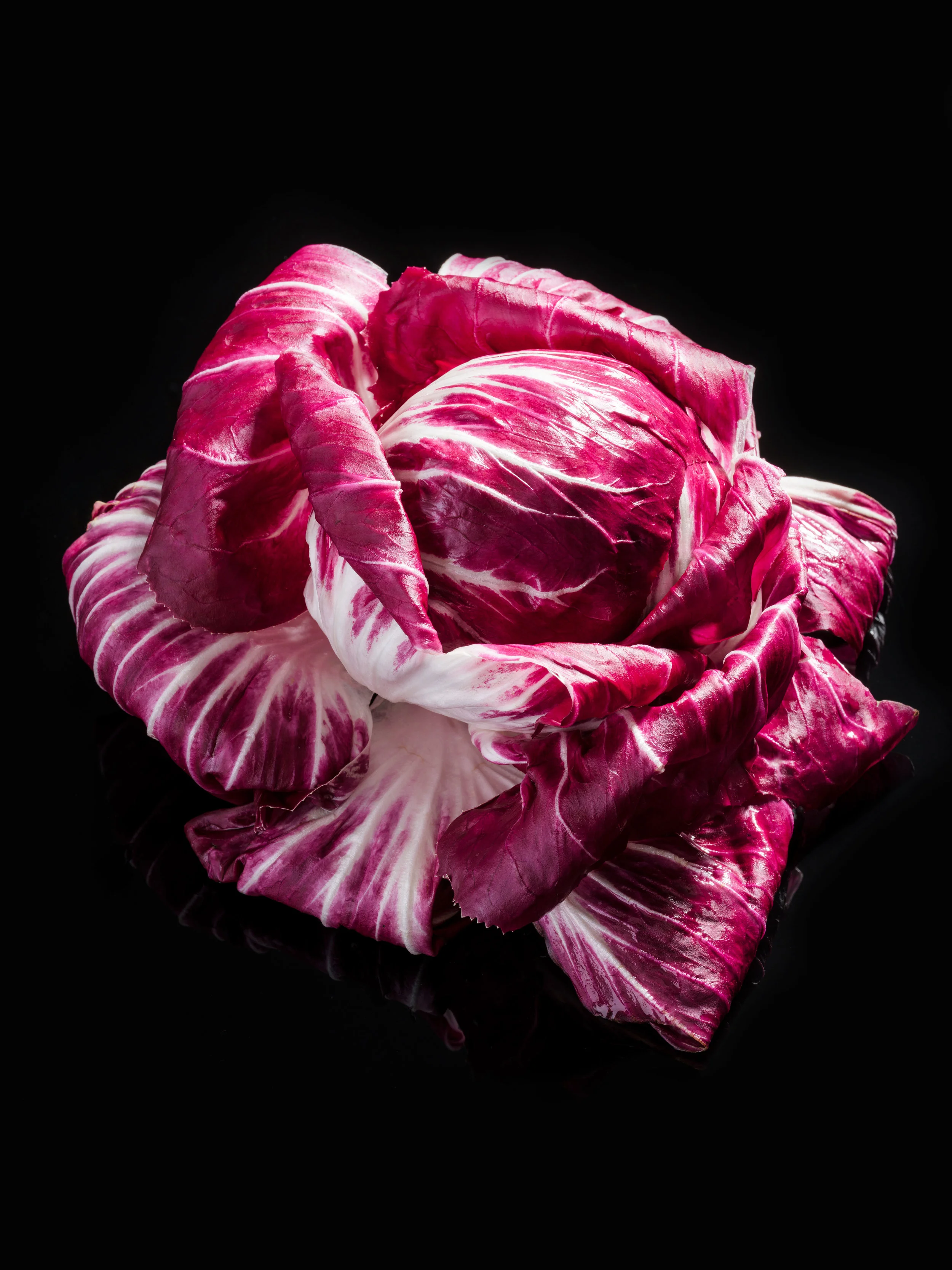 _DSF4624 Sando MUCHO FLAVOR STUDIO.jpg