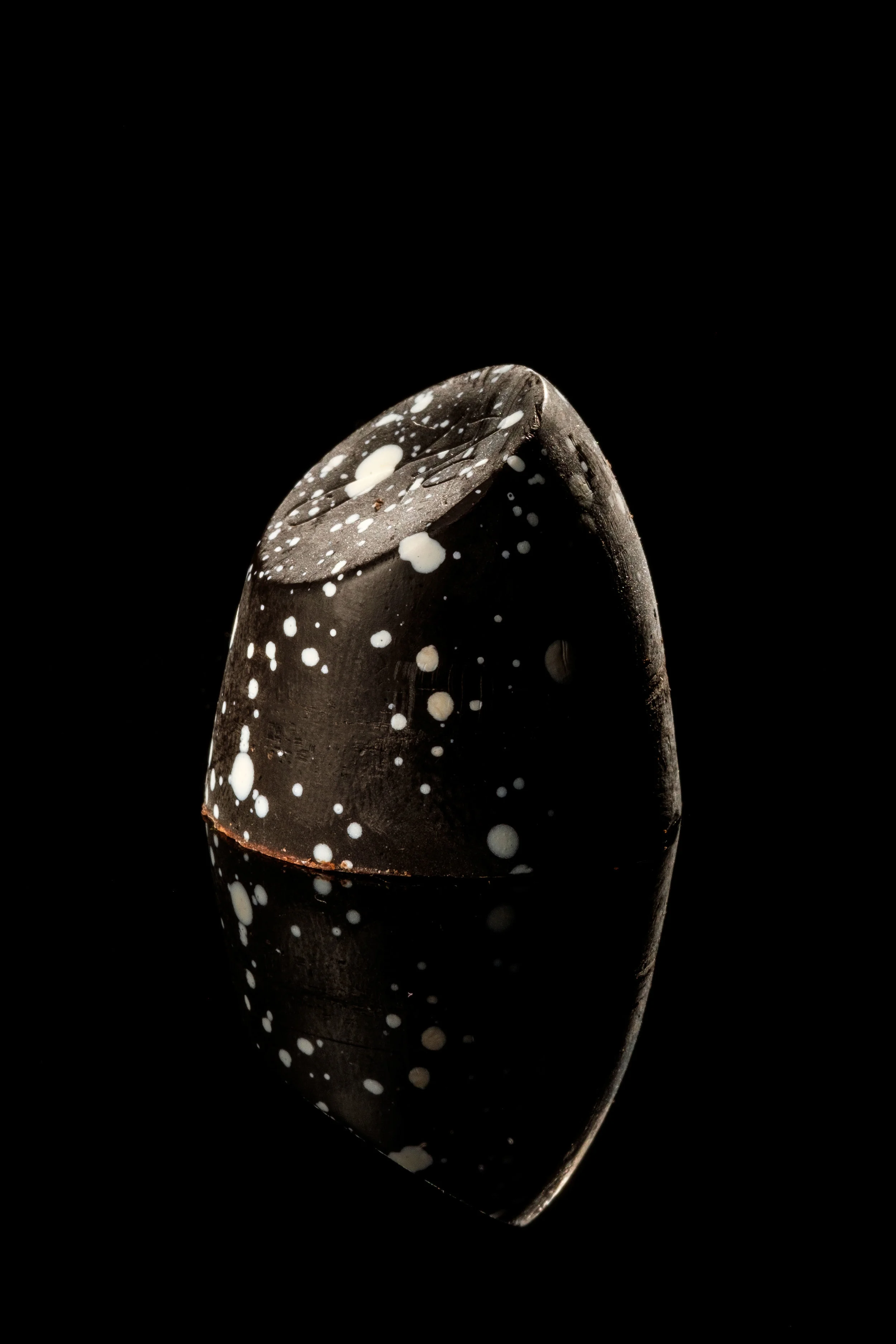 Sando_Mucho Flavor Studio_DSF8476.jpg