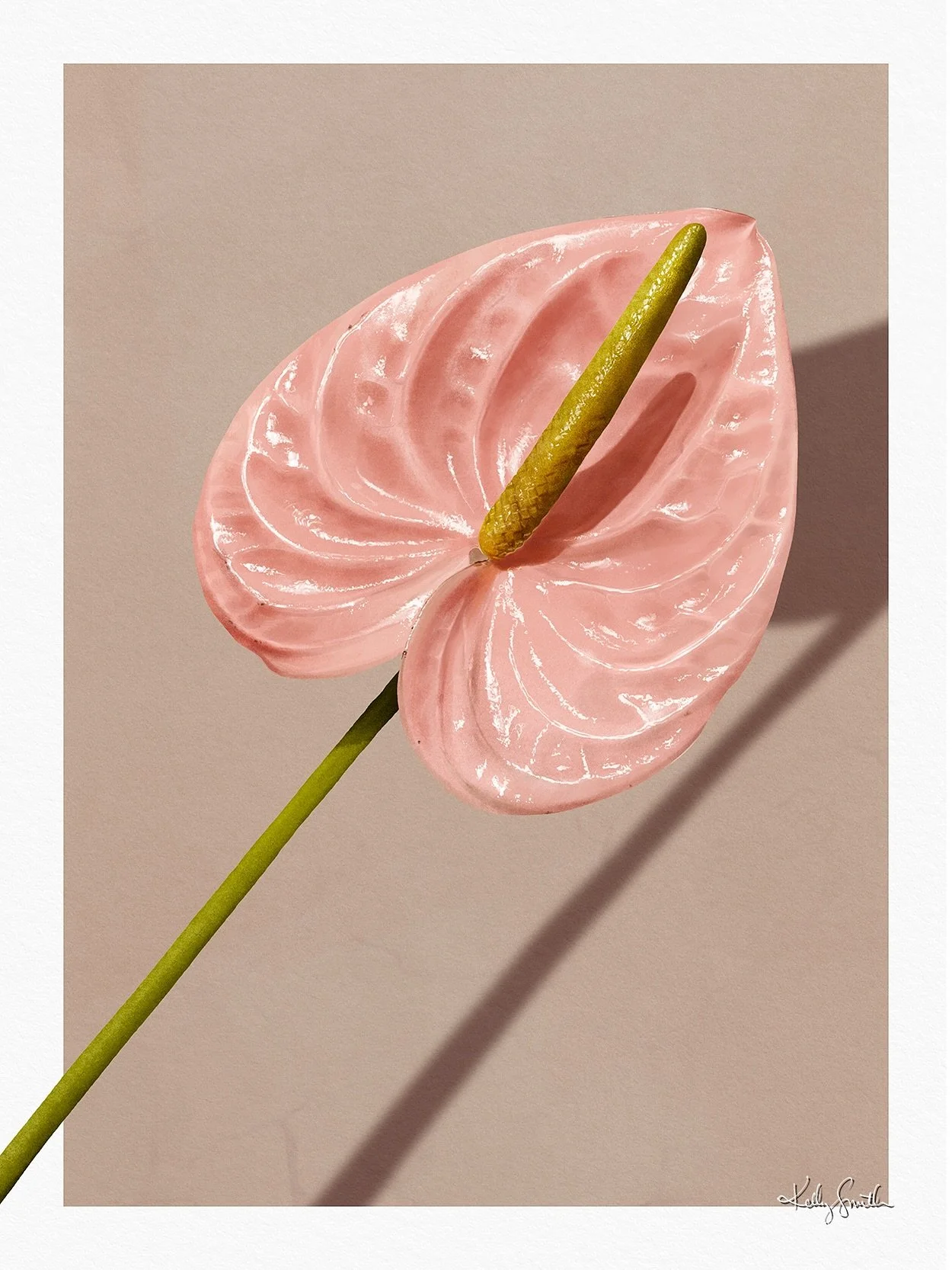 Still life imagery is something that I find so beautiful in its simplicity, and have really enjoyed exploring over the past year. 
This one is the result of an impromptu trip to the florist to buy my sister-in-law a bunch of birthday blooms!
Standing