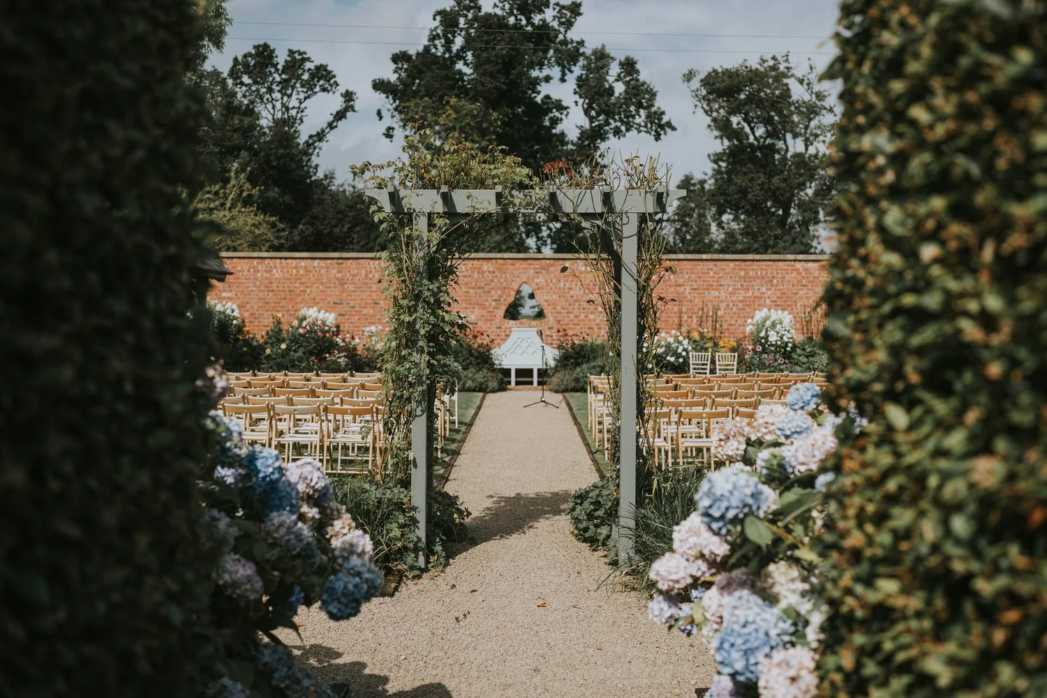 Wedding ceremony set up in the walled garden at Tullyveery House, with a vine covered pergola, gold chairs, a red brick wall and blue hydrangeas