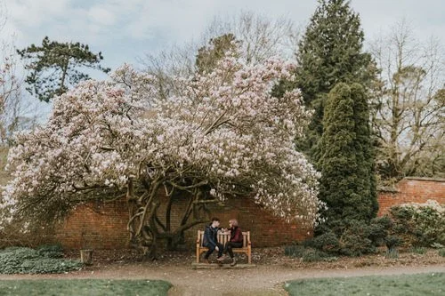 Belfast Engagement Photography
