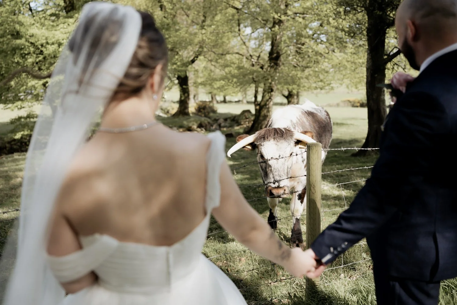 Wedding at Killeavy Castle 38