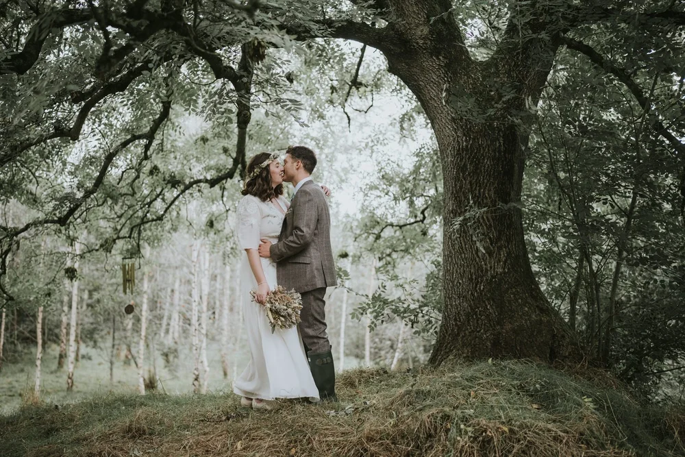 Bride and groom kissing beneath a large old tree in a birch woodland in Northern Ireland