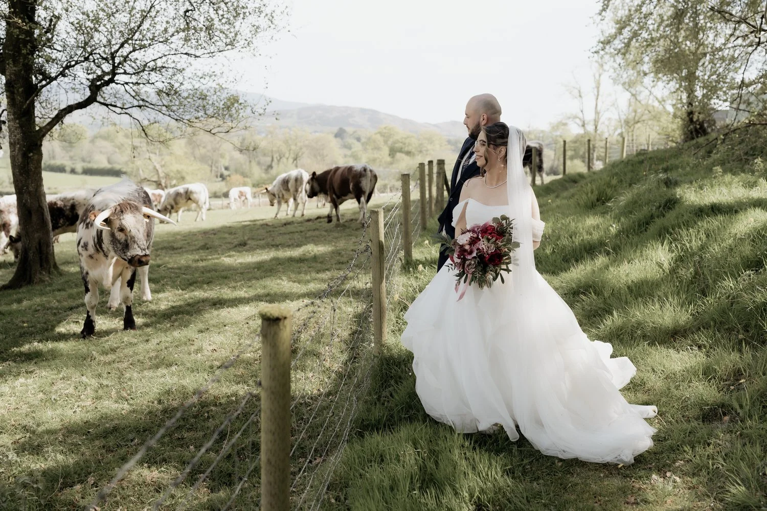 Wedding at Killeavy Castle 37