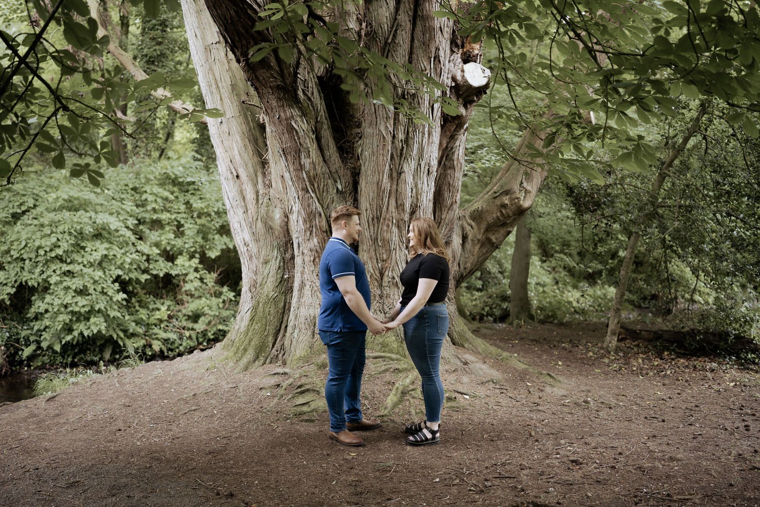 Crawfordsburn Country Park engagement photography 15