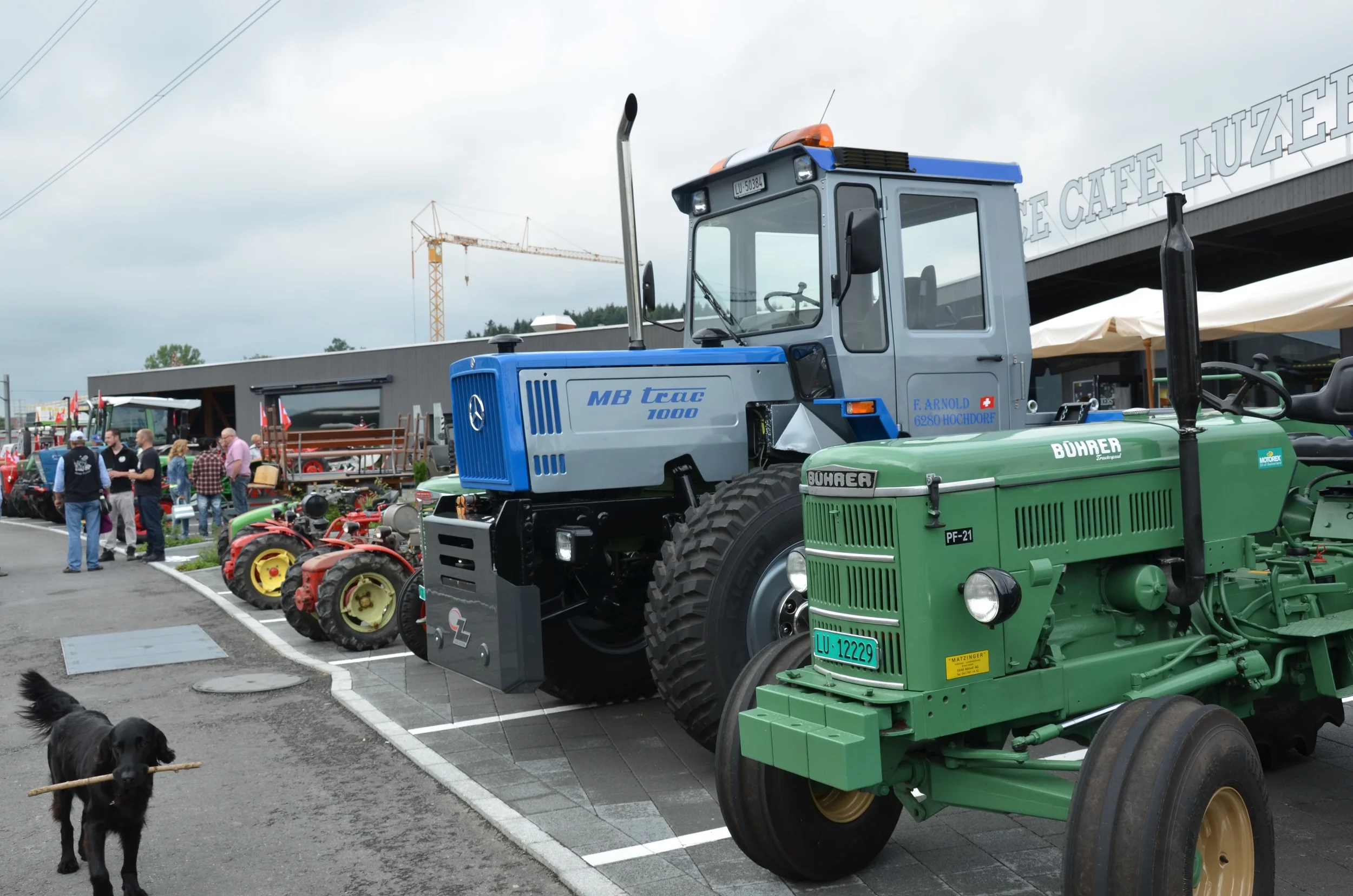 DSC_5836.jpg
