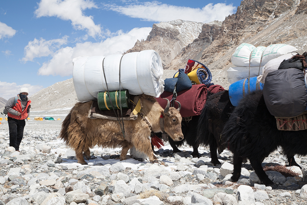 Everest Jon ALL-51.jpg