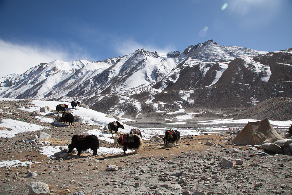 Everest Jon ALL-77.jpg