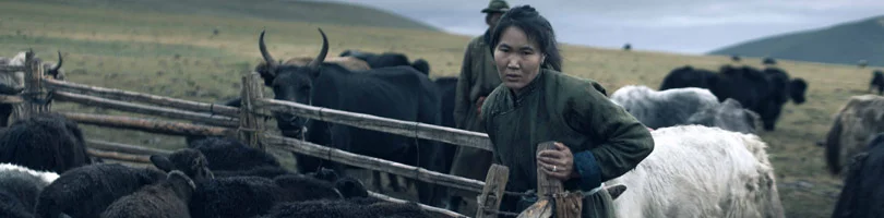 Herders' girl low res.jpg