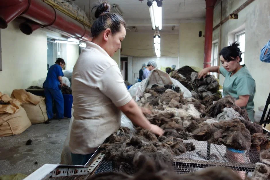 Tengri_handsorting_fibres.jpg