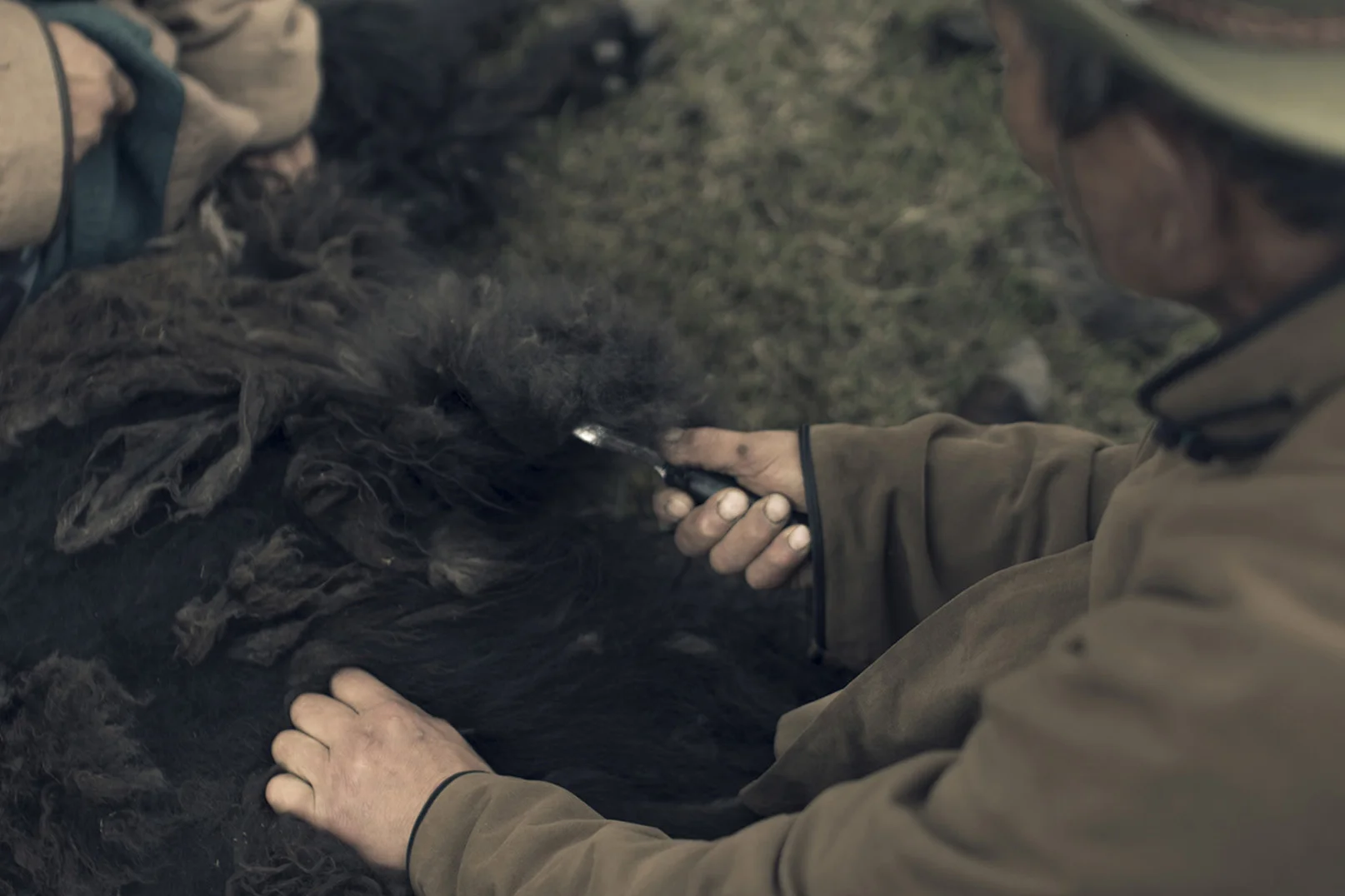 Tengri_yak_combing_fibres.jpg