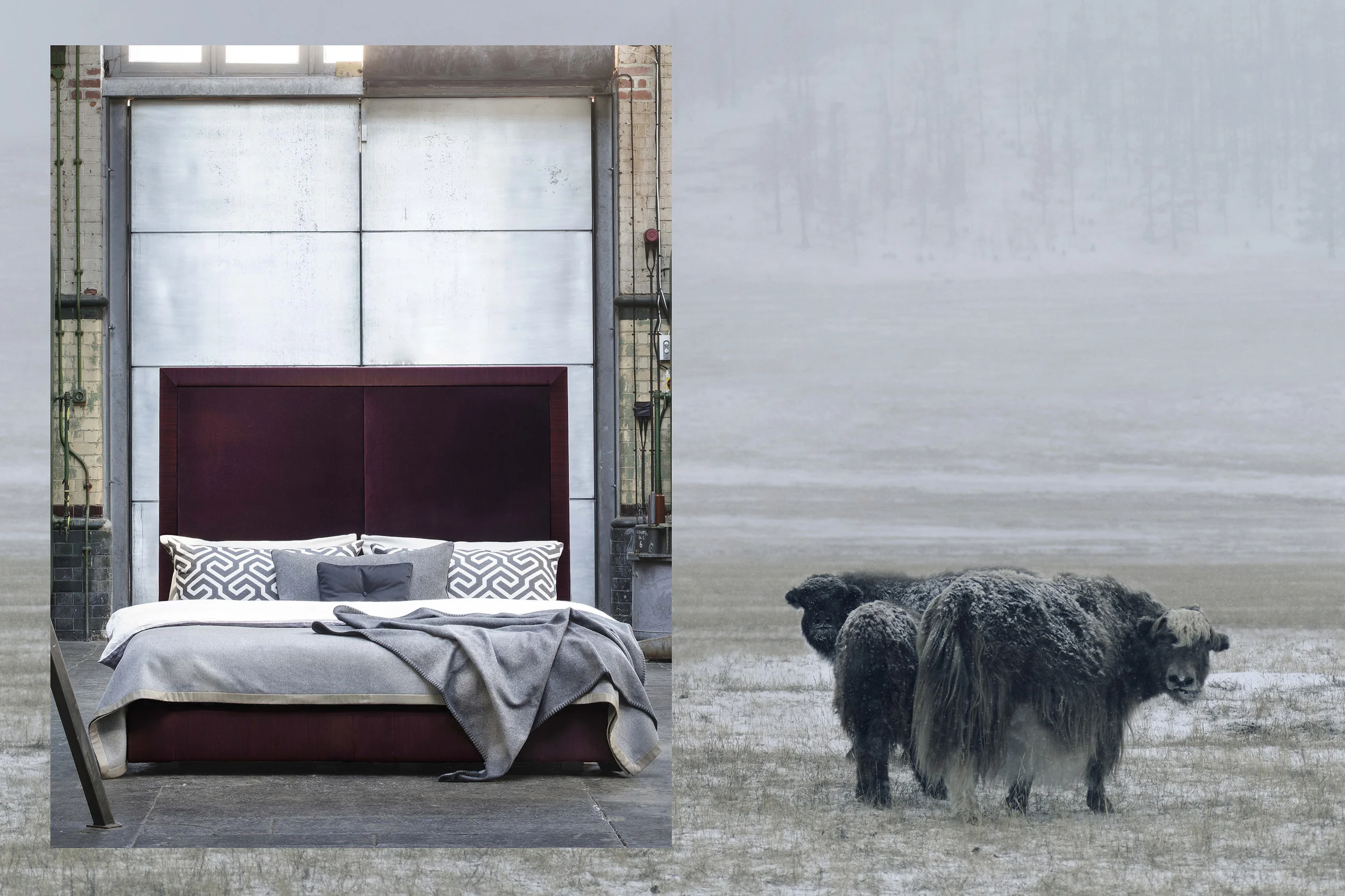 Tengri_x_Savoir-Beds_collaboration.jpg