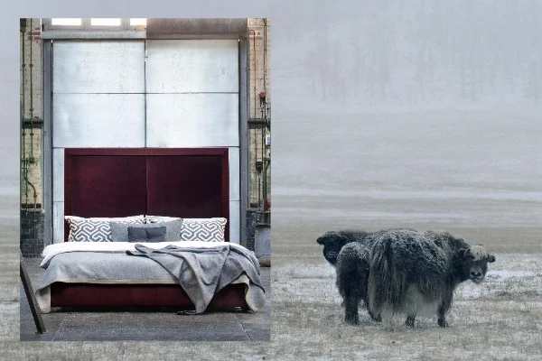 tengri_savoir-beds.jpg