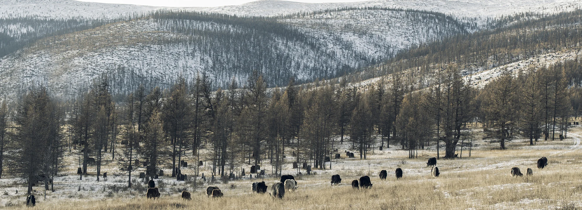 Tengri_travel_mongolia_landscape_panoramic.jpg