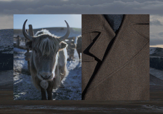 Tengri_trunk_show_invite.gif
