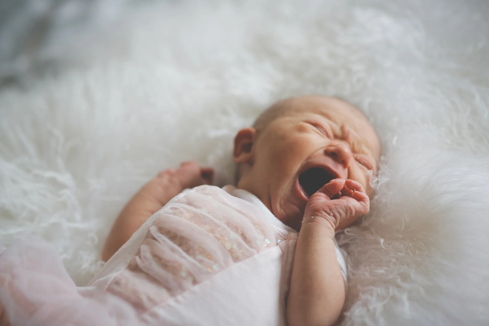 newborn photographer invercargill-15.jpg