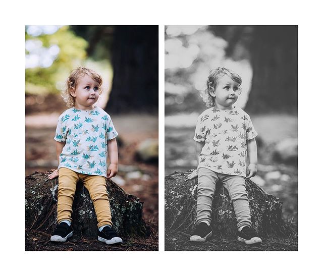 Colour or grey?
If the kid is this cute, does it really matter? 
Hope some beautiful framed photos are under your tree for your family this year! You can't go wrong 🥰 📸🥰🌲 https://nostalgicphotography.co.nz
#cutekid #nostalgic #wanakaphotographer 