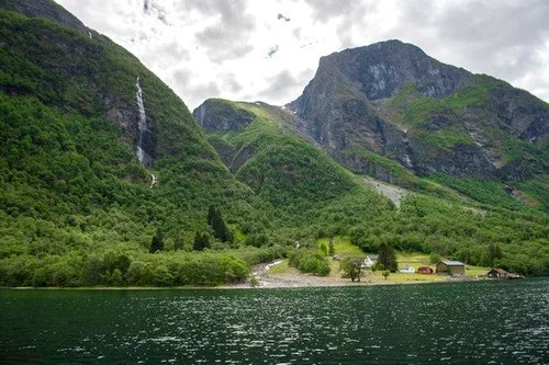 Fjordsafari Norge AS (1).jpg