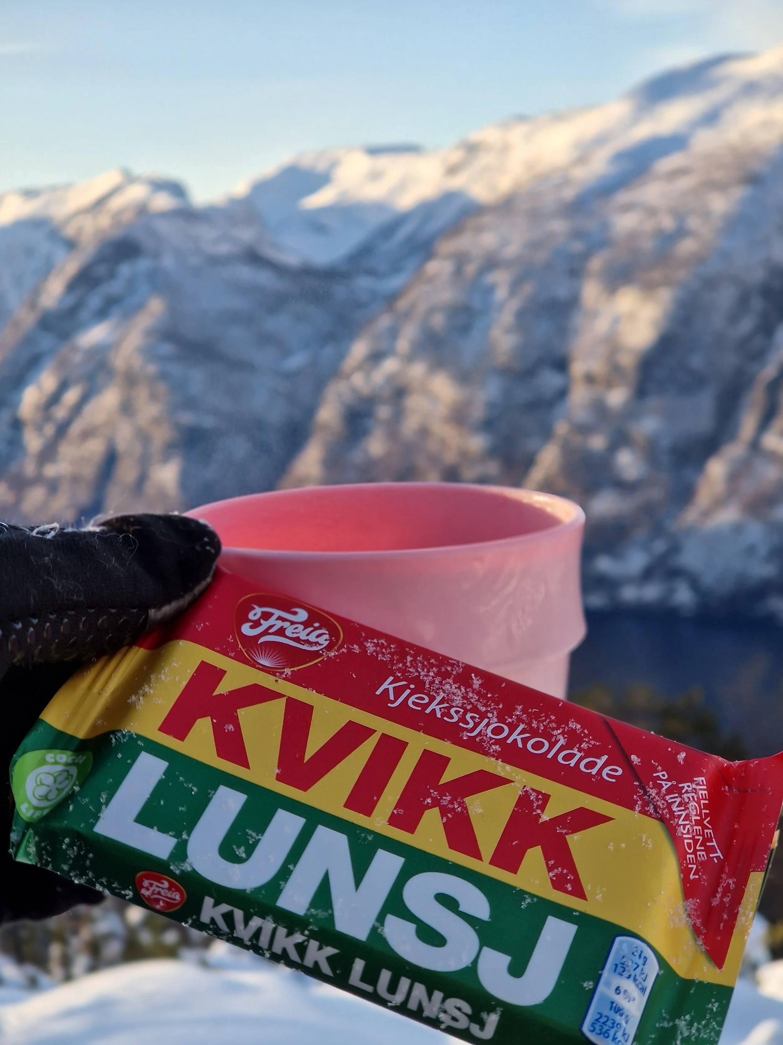 Fjordsafari Norway As Snowshoe 2024 1.jpg