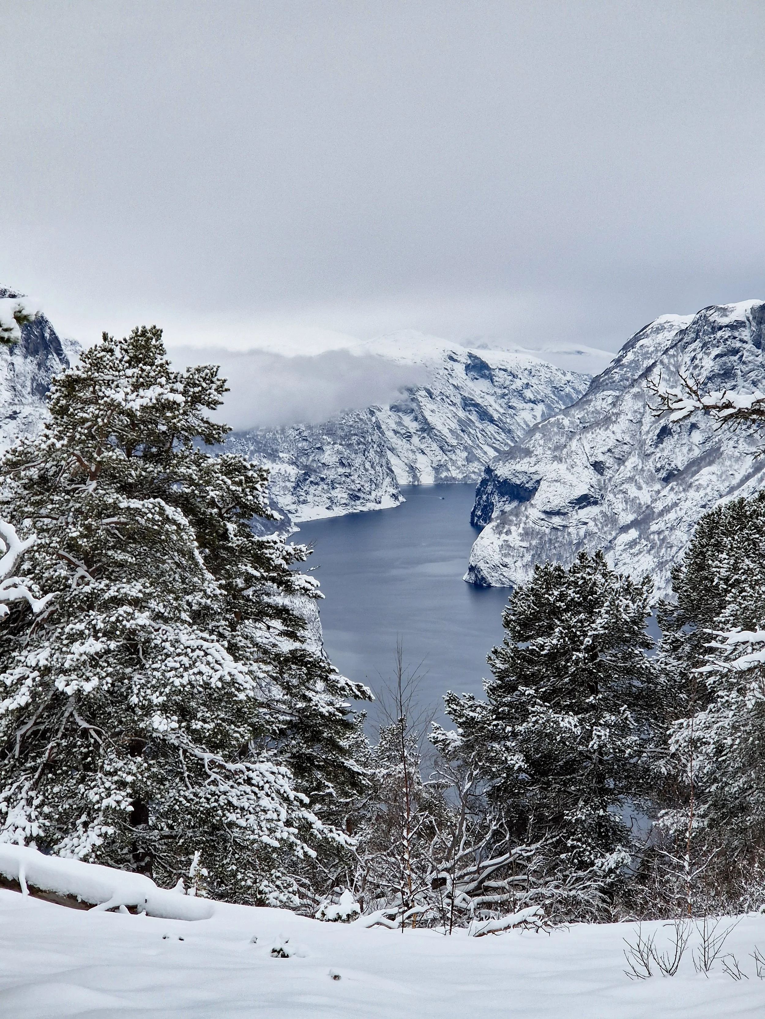 FjordSafari Norge som trugetur 2024 C.jpg