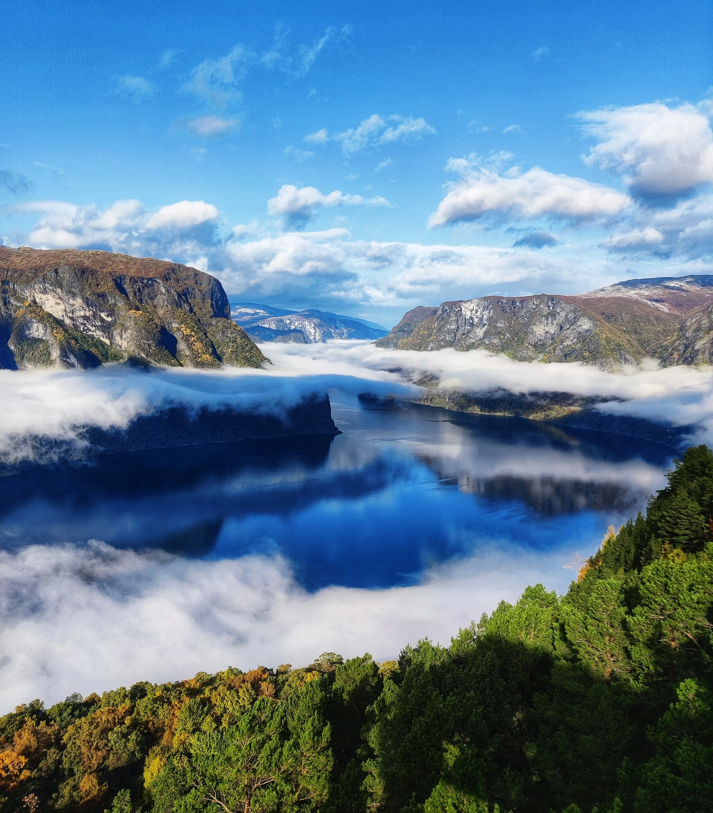 Stegastein Emelie Gustavsson Fjordsafari AS.jpeg