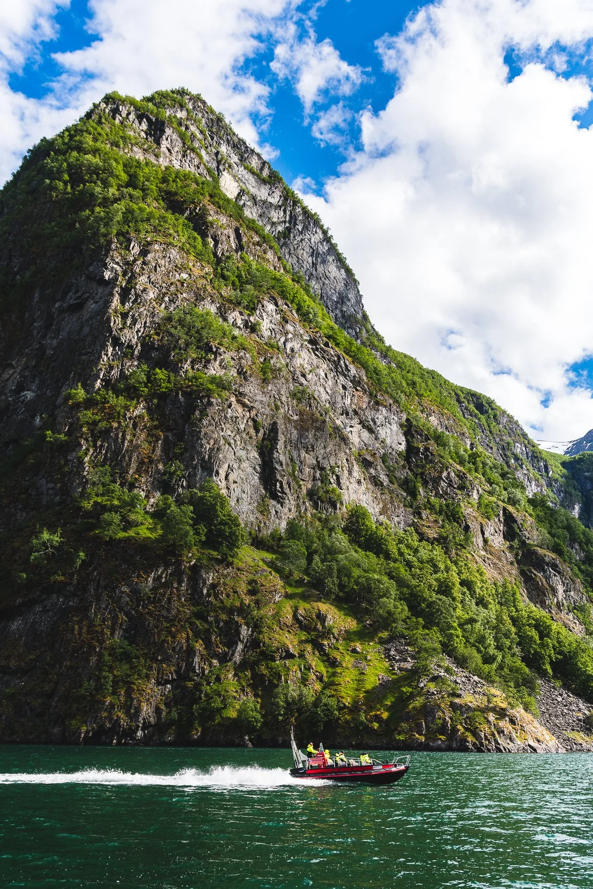 copyright Kevin Breuer (2).jpg