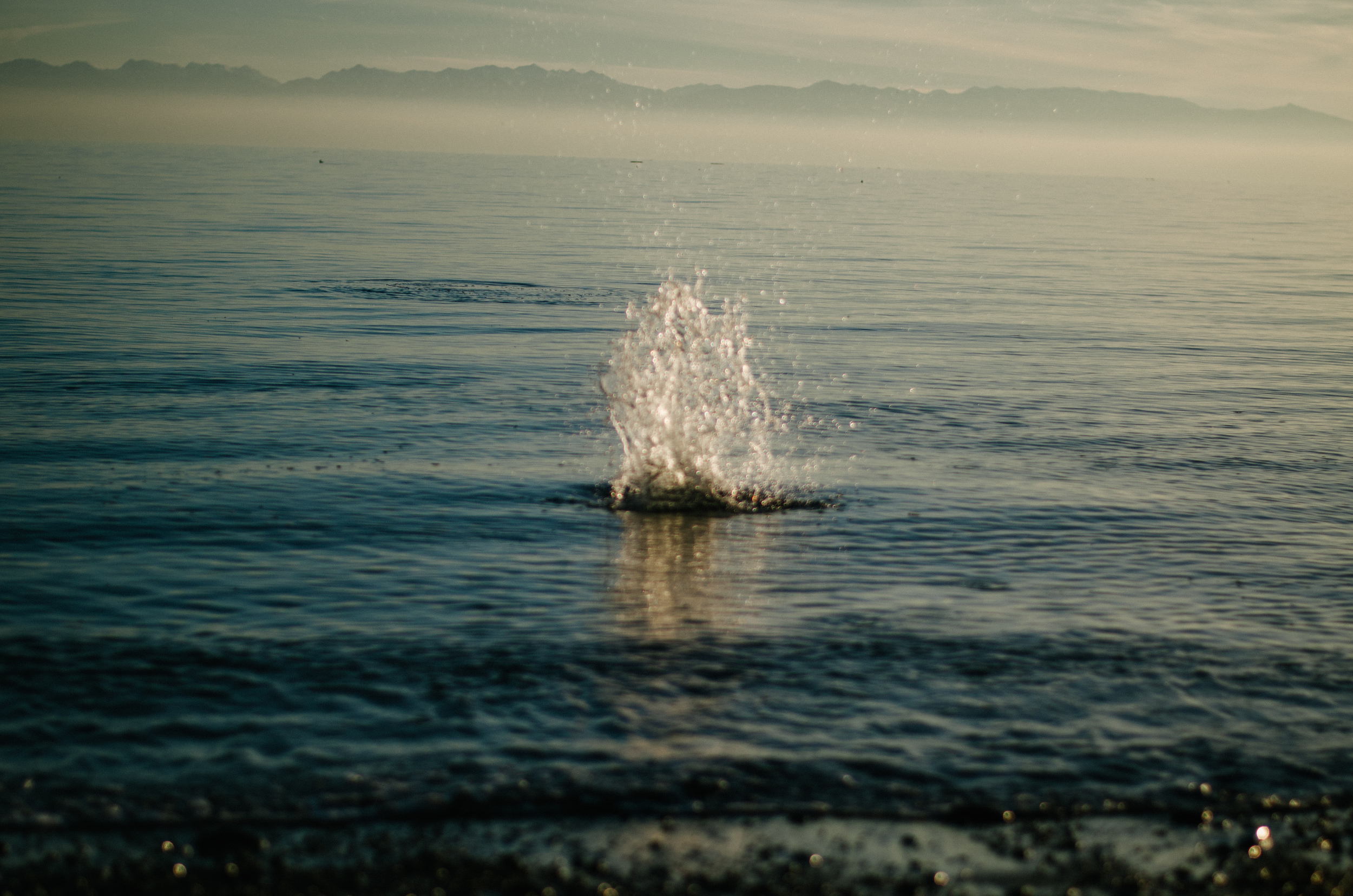 DSC_5647.jpg