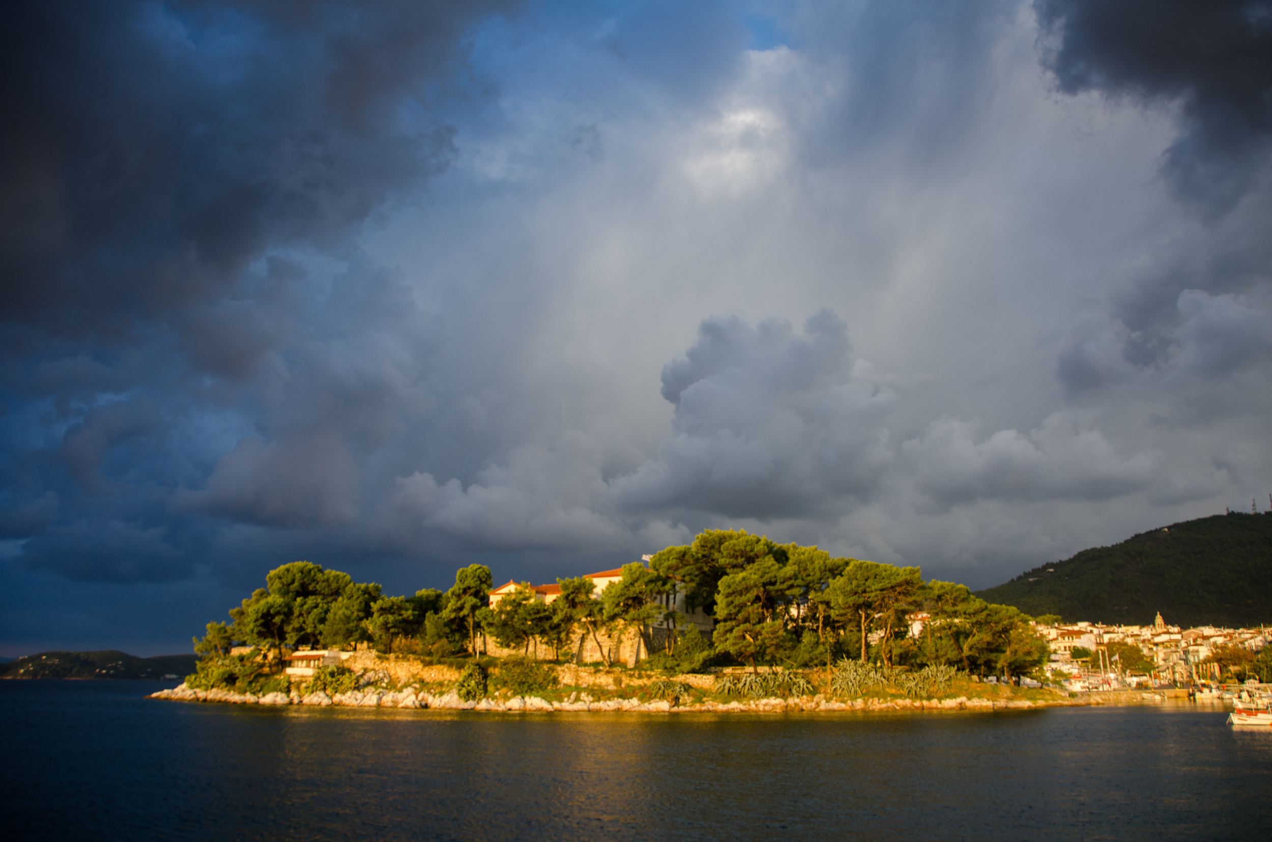 DSC_8891.jpg