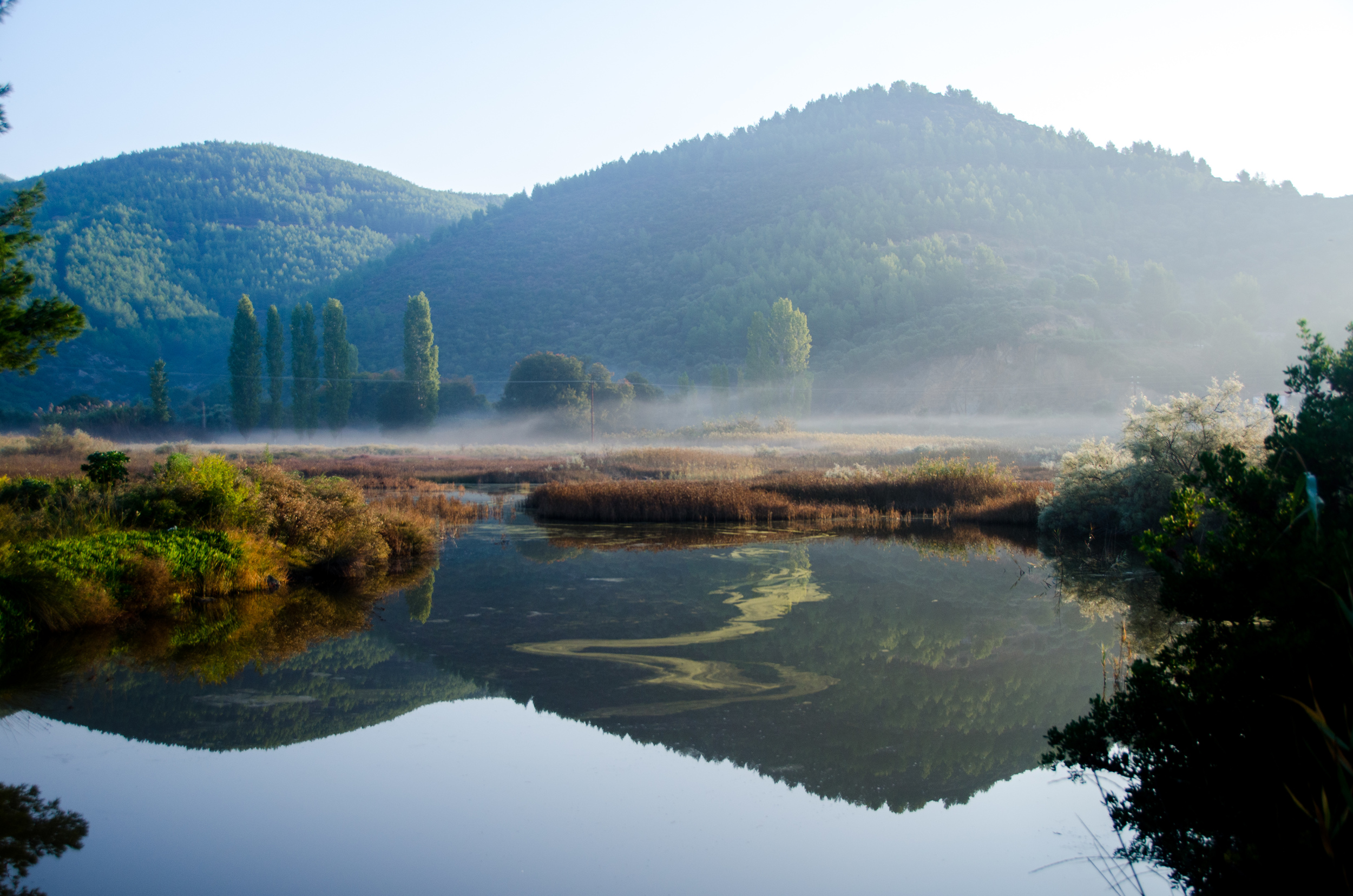 DSC_9815-2.jpg
