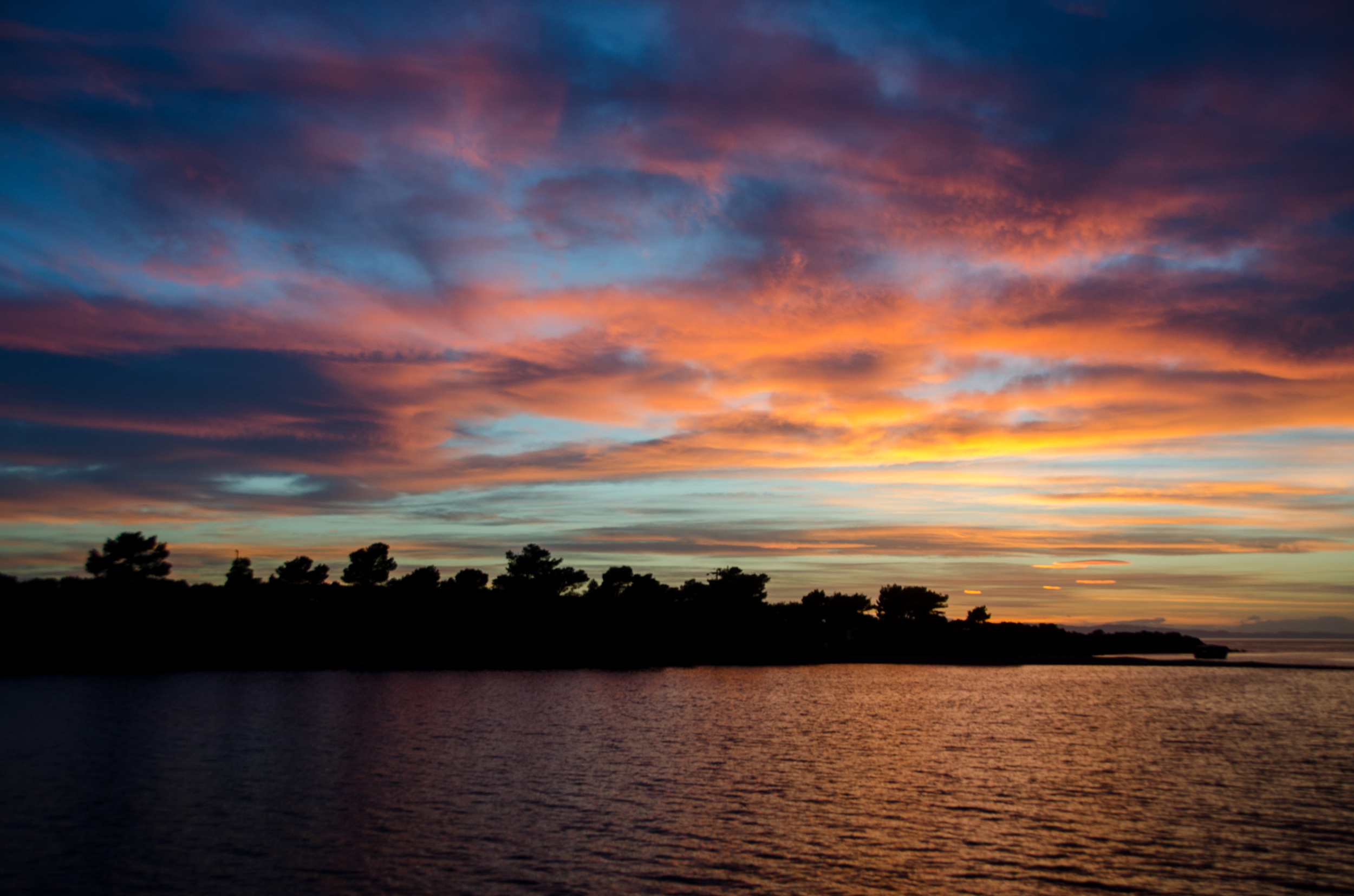 DSC_9979.jpg