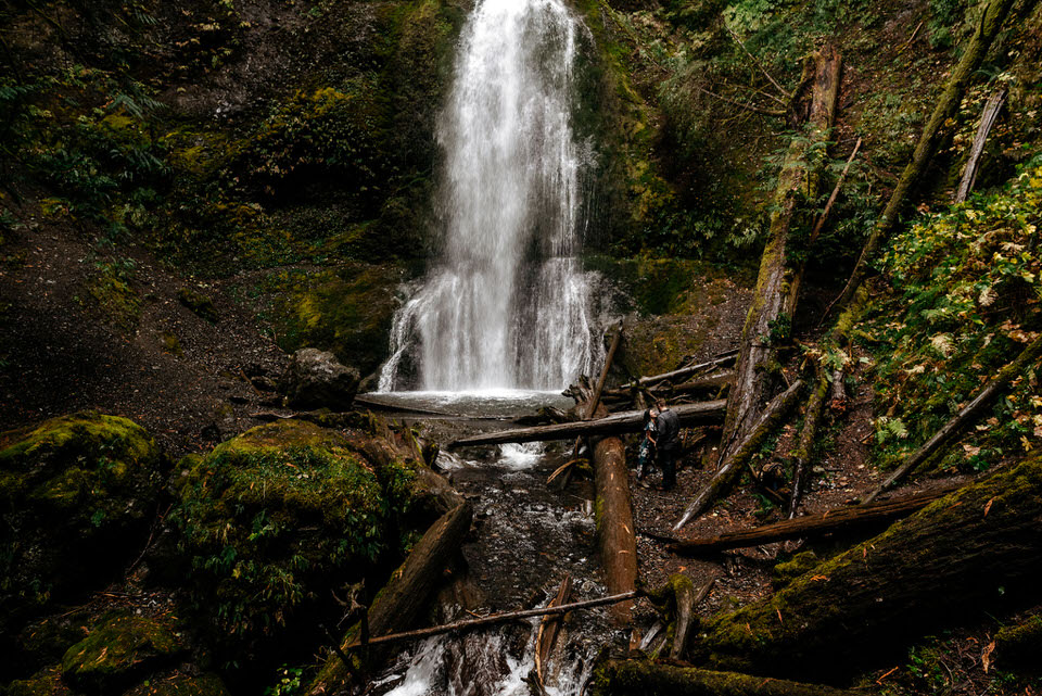 Olympic-Peninsula-Engagement-Photos-Kestrel-Bailey-Photography-70.jpg