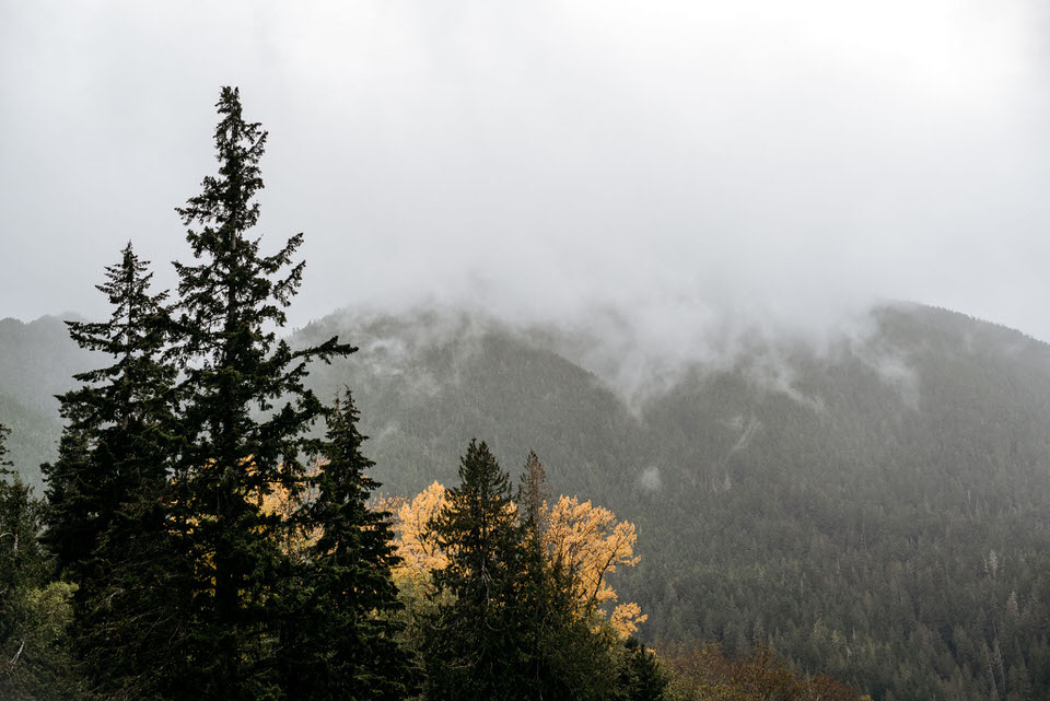 Olympic-Peninsula-Engagement-Photos-Kestrel-Bailey-Photography-160.jpg