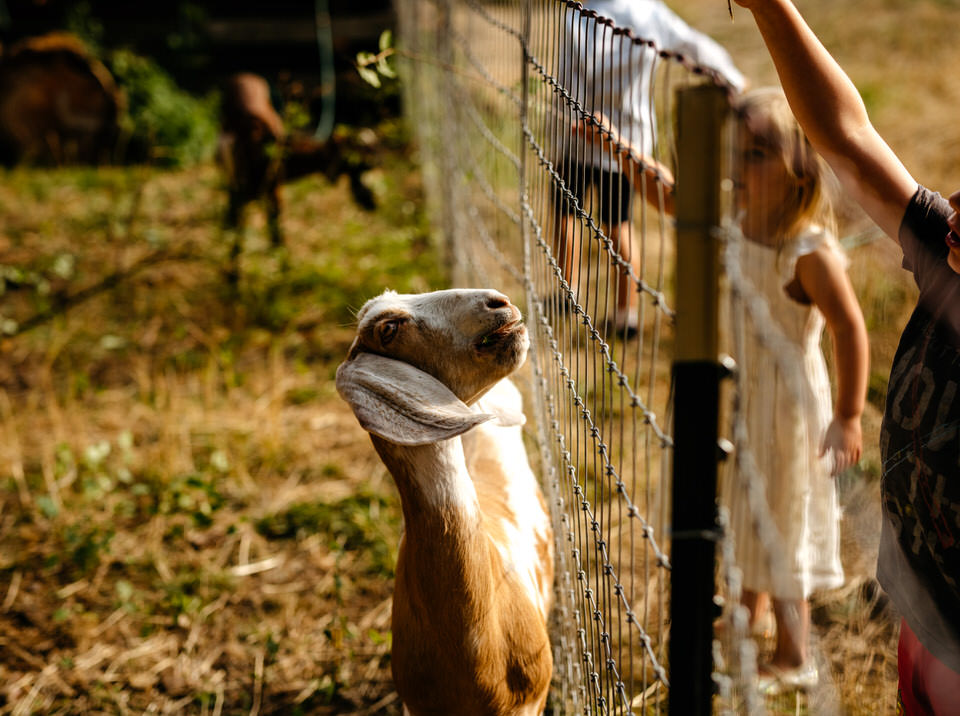 saltwater-farm-wedding-3268_1.jpg