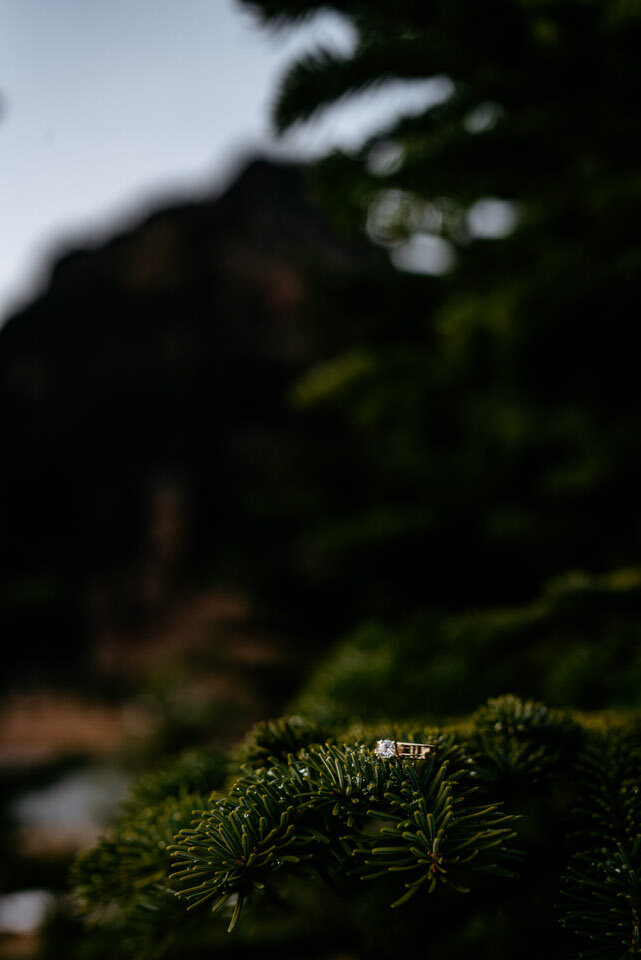 mt-rainier-engagement-photos-1233.jpg