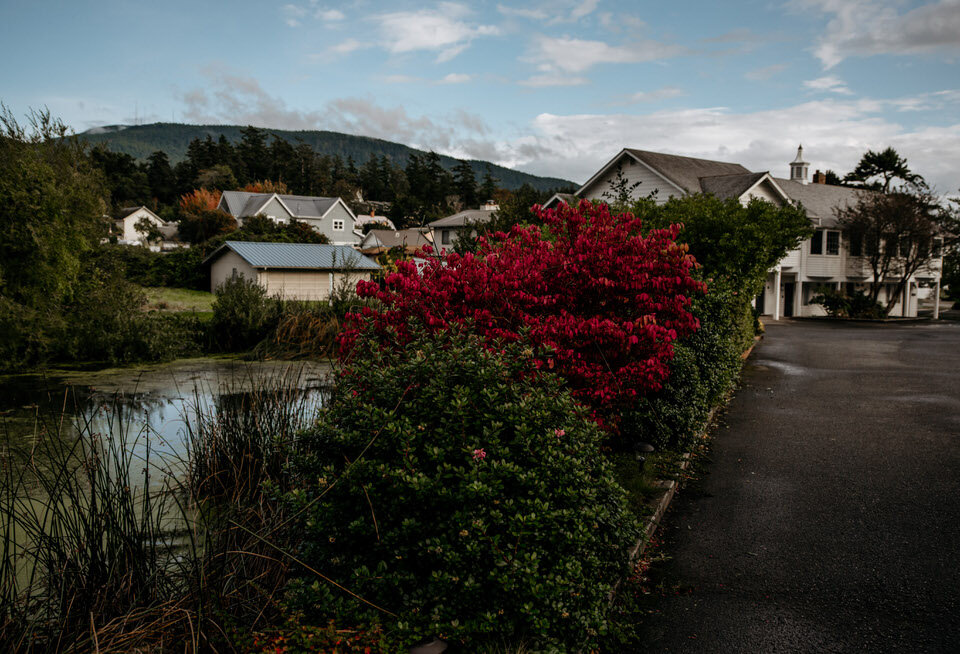 orcas-island-elopement-8196.jpg