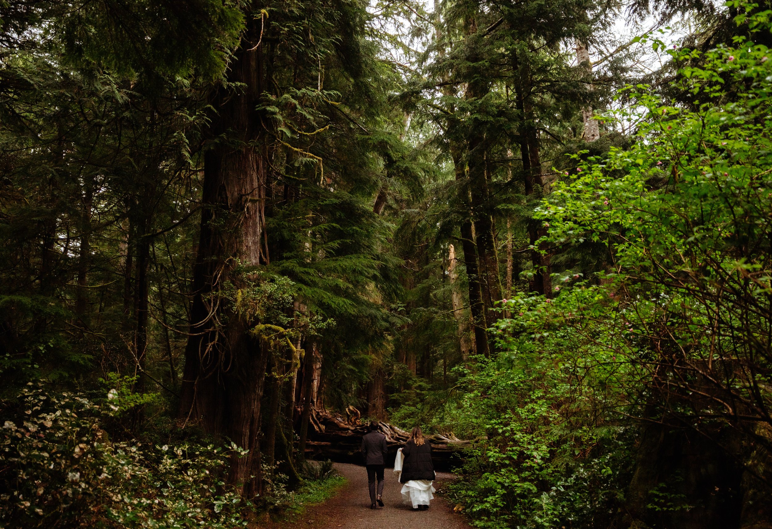 olympic-peninsula-elopement-7269.jpg